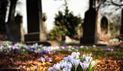 Raspored sahrana na somborskim grobljima za 22. mart