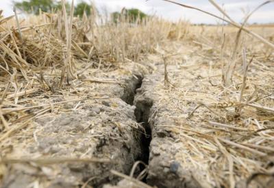 Vrućine u Srbiji potukle sve rekorde: Globalno zagrevanje doneće nam suše, šteta će se meriti u milijardama