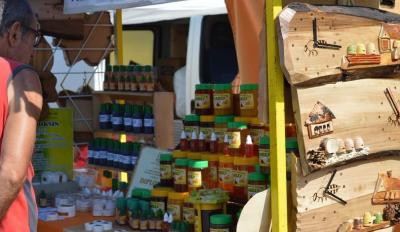 Međunarodni sajam pčelarstva u Somboru zakazan za 26. avgust