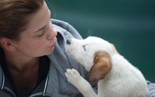 7 osobina vlasnika koji sa svojim ljubimcima razgovaraju kao s ljudima