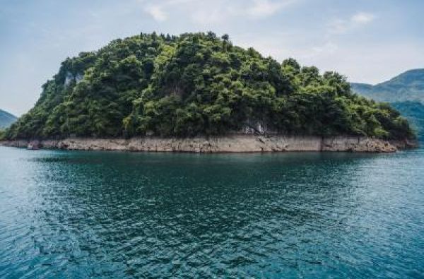 Ostrvo na kom živi 7.000 zmija nalazi se u komšiluku: Evo kako izgleda meka poskoka po kojoj su do skoro šetali samo biolozi