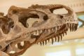 Da nije bilo asteroida dinosaurusi bi još bili tu
