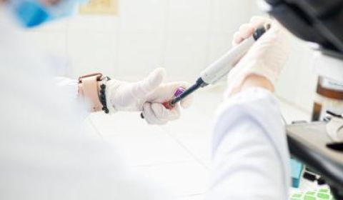 Hantavirus: Prenos među ljudima redak, ali moguć kod pojedinih sojeva: Simptomi - temperatura, malaksalost i bol u mišićima