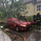 ŽENA POGINULA U NEVREMENU KOD SOMBORA Srušeno stablo smrskalo njen automobil (FOTO)