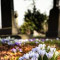 Raspored sahrana na somborskim grobljima za 9. maj