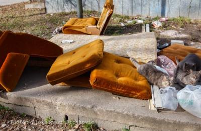 Od ponedeljka u Apatinu počinje odnošenje kabastog otpada