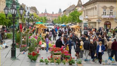 U Somboru u aprilu 15. po redu Međunarodni festival cveća