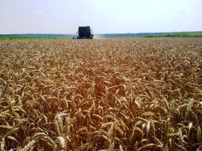 Mađarska je zakonom zabranila naplatu poreza na poljoprivredno zemljište, može li i Srbija
