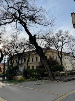 Manifestacija „Muzeji za 10“ od 14. maja u Somboru