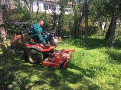 Somborci hoće više zelenila