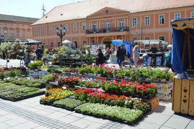 Međunarodni festival cveća 12. put u Somboru