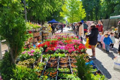 Prijave za izlagače na Prolećnom bazaru u Apatinu