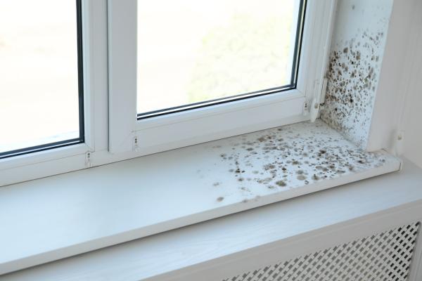 Buđ, vlaga i kondenz kao skriveni neprijatelji doma i kako ih zauvek ukloniti