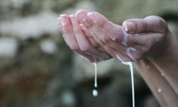 Poljoprivrednik iz okoline Zrenjanina prosuo dve i po tone mleka jer nema kome da ga proda