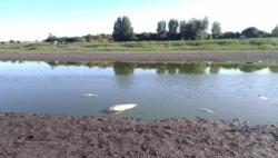 Ima li nade za Čonopljansko jezero