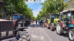 “Seljaci su u sušnoj godini obezbedili dovoljno hrane za državu i imaju pravo da traže bolje uslove”: Zbog čega poljoprivrednici štrajkuju?