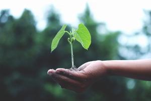 Međunarodni sud pravde: Ko ne štiti Zemlju od klimatskih promena, krši međunarodno pravo