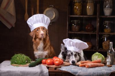 U Francuskoj sve brojniji kuvari sa receptima za pse