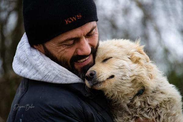 Preko 200 pasa i mačaka ostaje bez hrane - POMOZITE
