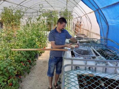 Akvaponija u Staparu - savršeni ekosistem na 200 kvadrata