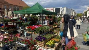 Bogata ponuda na sajmu cveća: Tradicionalna manifestacija u Somboru do 25. aprila