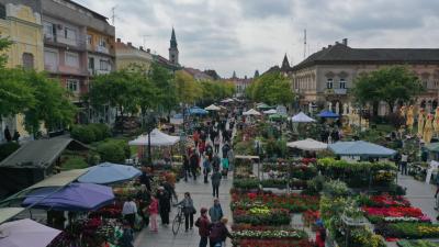 U Somboru u toku 16. Međunarodni festival cveća