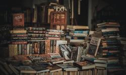 U Somboru članovi biblioteke od rođenja