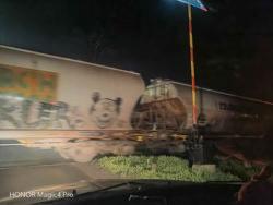 Kljajićevo: Dok neko ne pogine! Vozovi prolaze, rampa ne radi! (FOTO)