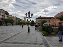 Darvinovo istraživanje u ŠOSO "Vuk Karadžić"