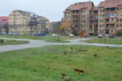 Nastavljeni radovi na formiranјu novog gradskog parka u Somboru
