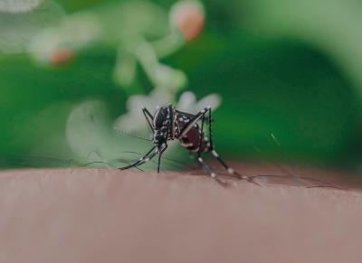 Simptom po kom se ubod komarca s virusom Zapadnog Nila razlikuje od uboda običnog komarca