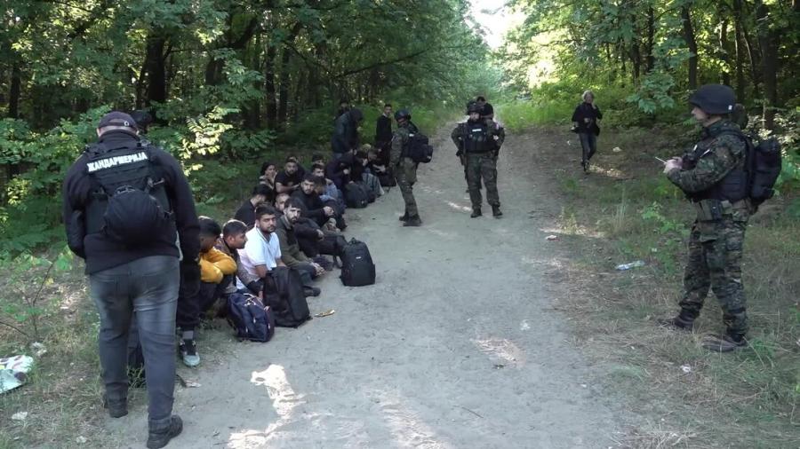 Na području Sombora policija pronašli 63 iregularna migranta