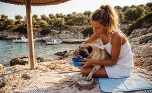 Kako sa psom u Grčku: nova EU pravila za Srbiju i da li se nešto menja