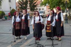 U Somboru po 22. put održan Dan žitnih polja
