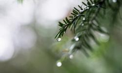 DANAS TOPLO ZA OVO DOBA GODINE! Temperatura i do 16 stepeni, a evo kada se očekuju padavine