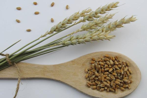 Zanemarena namirnica za doručak koja prirodno snižava holesterol