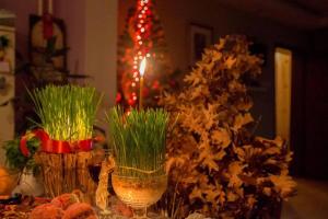 Šta uraditi sa badnjakom nakon Božića: Nikako ga ne bacajte