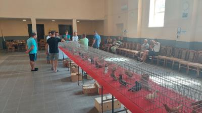Počele 27. Velikogospojinske večeri u Staparu