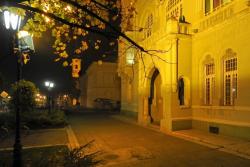 OPŠTINA APATIN I OVE GODINE U KAMPANJI PROTIV NASILJA NAD ŽENAMA