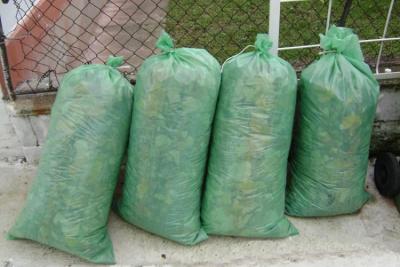 Odvoz džakiranog lišća sa javnih površina u Apatinu