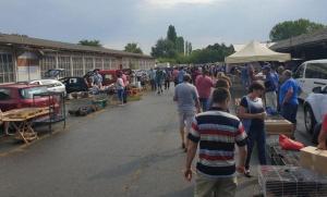 Prolećna berza sitnih životinja u nedelju u Somboru