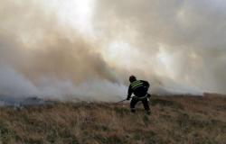 Vatra guta polja i šume