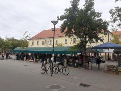 DVA VEKA GLASOVITE SOMBORSKE PIJACE U LANCIMA Pazariti se mora, posebno petkom