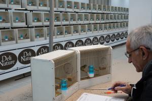 MEĐUNARODNI SAJAM PERADARSTVA U SOMBORU Dve hiljade živih eksponata, obezbeđeno 5.000 besplatnih ulaznica za najmlađe