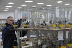 MEĐUNARODNI SAJAM PERADARSTVA U SOMBORU Više od trodnevnog šepurenja, 2.500 eksponata PRIPREMA ZA JUBILEJ