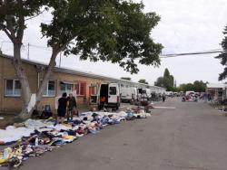 Od oktobra buvlјak u Somboru menja adresu