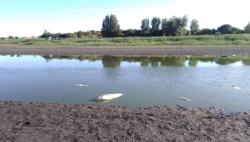 UGINULE TRI TONE RIBE: Čonopljansko jezero gotovo presušilo, nije ostala ni desetina vode
