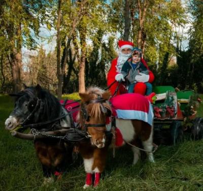 Apatinski Deda Mraz donosi poklone na poniju