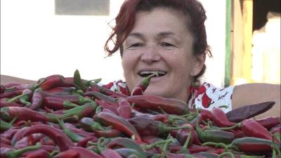 Kako je paprika iz Telečke završila na nemačkoj trpezi