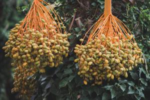 Ovo je jedan od najčešćih sastojaka u proizvodima koje kupujemo u marketu, a evo kakav haos u organizmu može da napravi